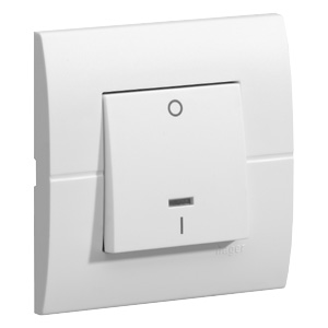 Interruptor bipolar luminoso